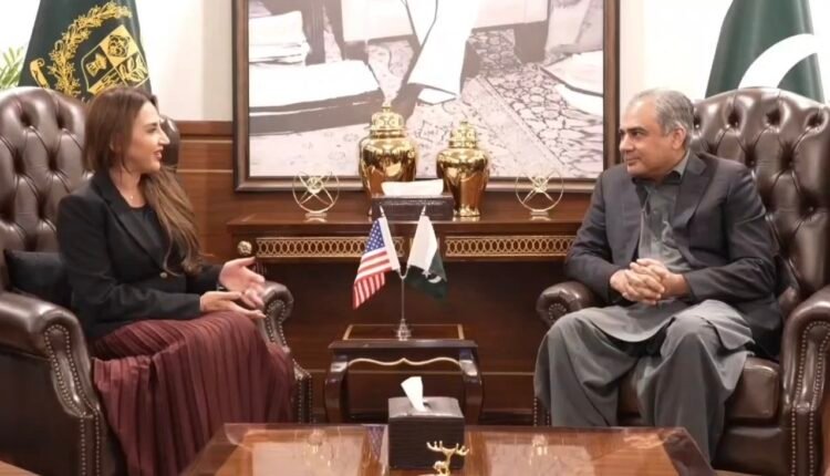 US Ambassador Natalie Baker meets Interior Minister Mohsin Naqvi in Islamabad